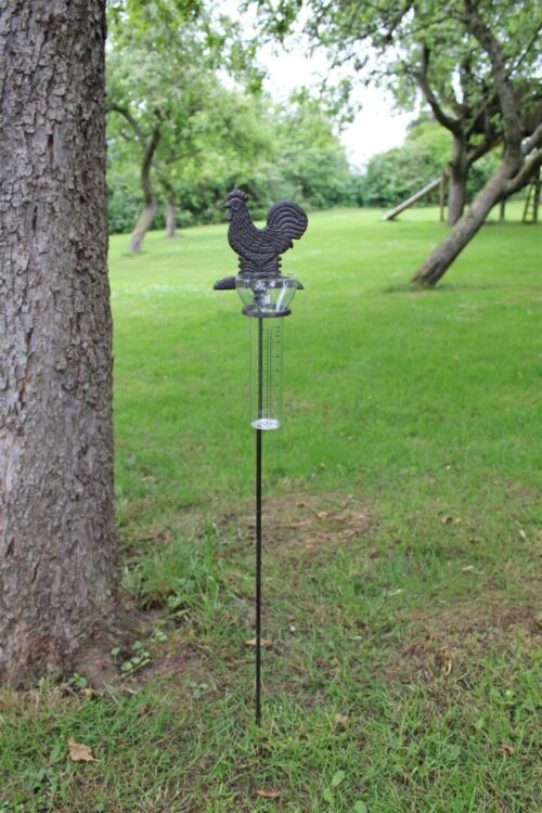 Cast Iron and Glass Garden Rain Gauge Chicken