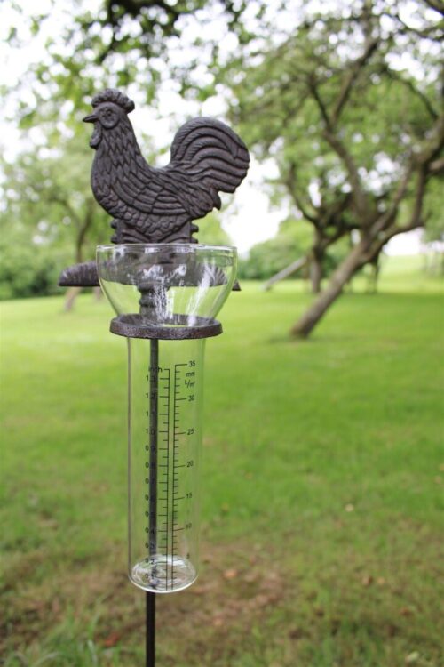 Cast Iron and Glass Garden Rain Gauge Chicken