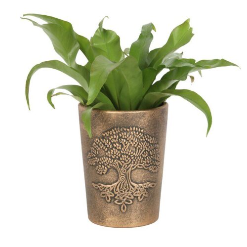 Tree of Life Bronze Terracotta Plant Pot by Lisa Parker