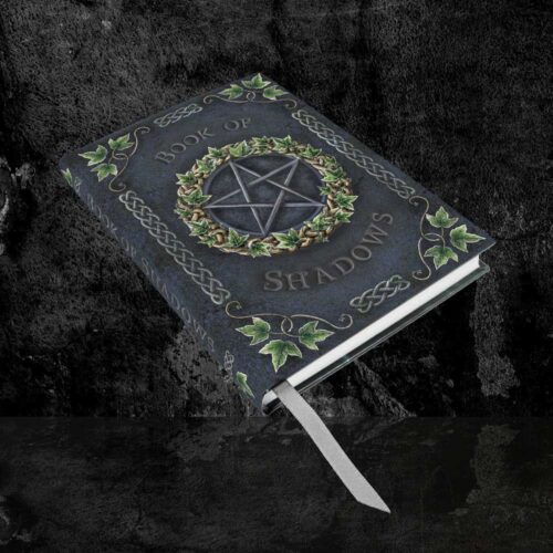 Embossed Pentagram A5 Book of Shadows Ivy Journal 17cm