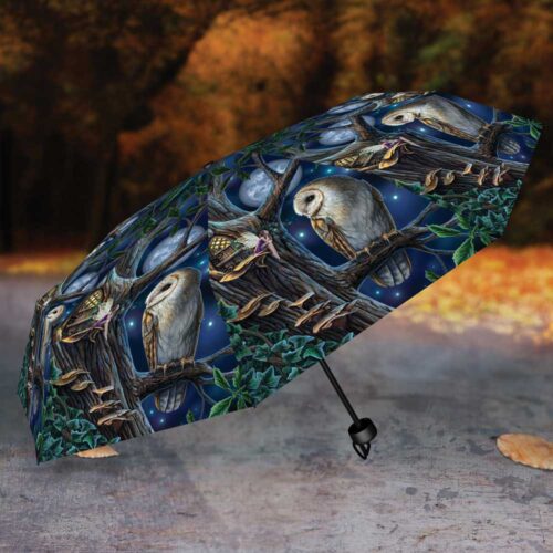 Lisa Parker Fairy and Owl Umbrella