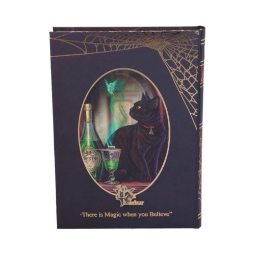 Lisa Parker Absinthe Journal 17cm