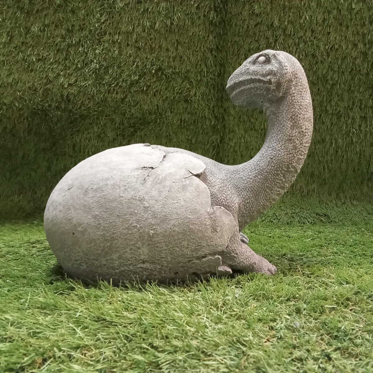 Brontosaurus Dinosaur Hatching Egg Concrete Garden Ornament