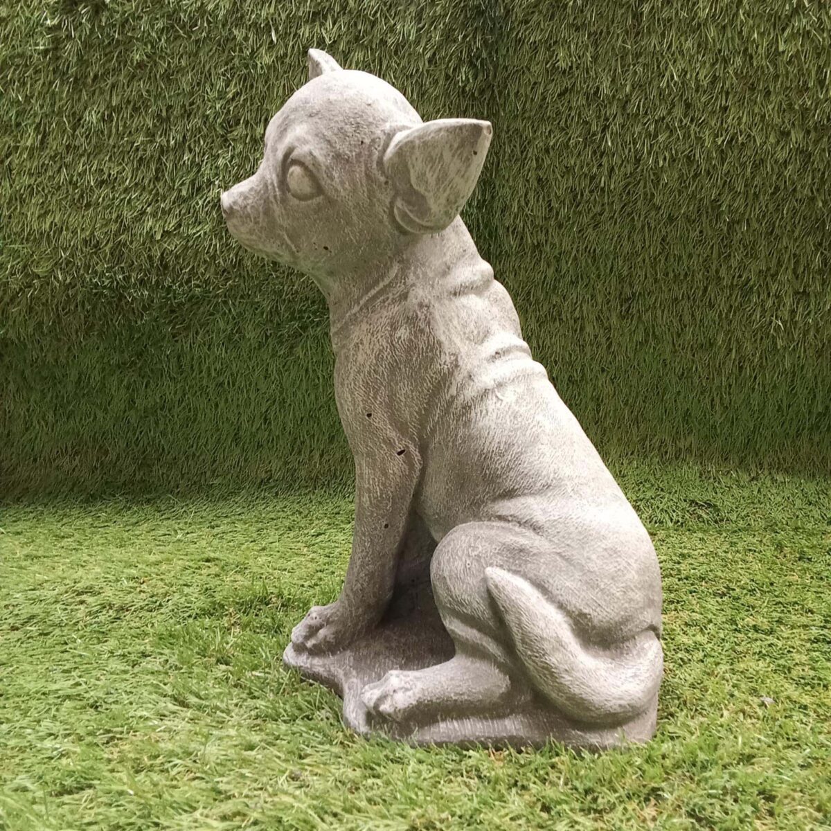 Chihuahua Sitting Concrete Garden Ornament